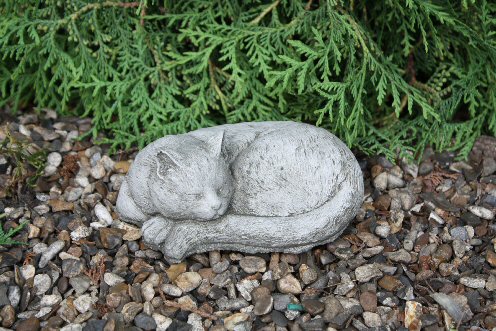 KA181 Sleeping Cat 3 KA181 Sleeping Cat 3